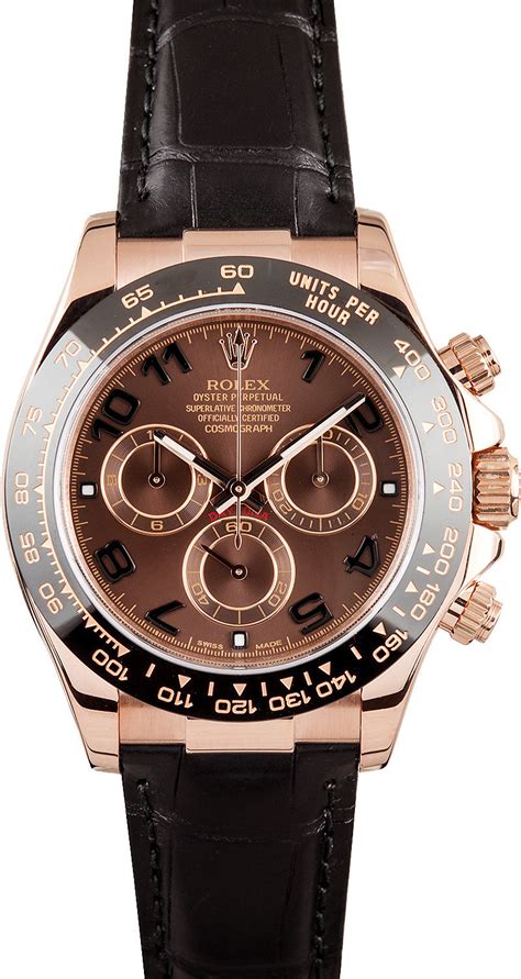 rolex daytona everose gold leather strap watch|rolex daytona rose gold 116505.